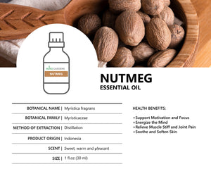 Nutmeg Essential Oil (Myristica fragrans) 30mL (1 fl oz.)