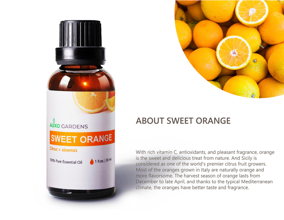 Sweet Orange Essential Oil 1 oz (30ML) -100% Natural and Pure Therapeutic Grade-Premium Quality Italian Orange Oil