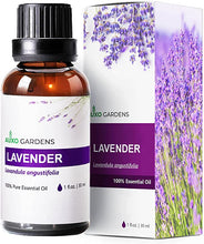 Load image into Gallery viewer, Lavender Essential Oil (Lavandula angustifolia) -30ML