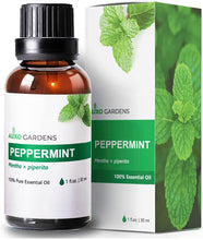 Load image into Gallery viewer, Peppermint Essential Oil (Mentha × piperita) - 30mL (1 fl oz.) -100% Natural and Pure for Aromatherapy-Fresh, Minty and Cool