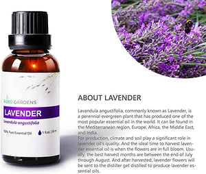 Lavender Essential Oil (Lavandula angustifolia) -30ML