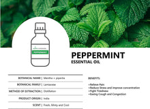 Load image into Gallery viewer, Peppermint Essential Oil (Mentha × piperita) - 30mL (1 fl oz.) -100% Natural and Pure for Aromatherapy-Fresh, Minty and Cool