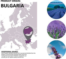 Load image into Gallery viewer, Lavender Essential Oil (Lavandula angustifolia) -30ML