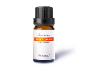 Sweet Orange Essential Oil (Citrus × sinensis)