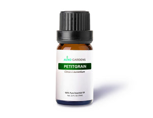 Petitgrain Essential Oil (Citrus × aurantium)