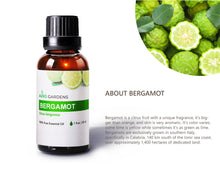 Load image into Gallery viewer, Bergamot Essential Oil (Citrus bergamia) - 30mL (1 fl oz.) -Natural Stress Reliever and Mood Lifter