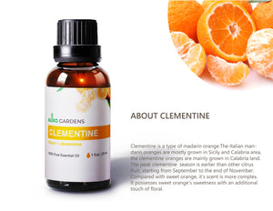 Clemetine Essential Oil (Citrus × clementina) 30mL (1 fl.oz)