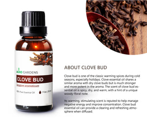 Clove Bud Essential Oil (Syzygium aromaticum)