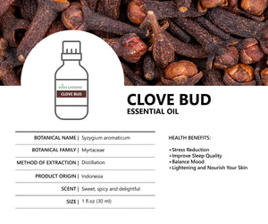 Clove Bud Essential Oil (Syzygium aromaticum)