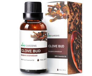 Clove Bud Essential Oil (Syzygium aromaticum)