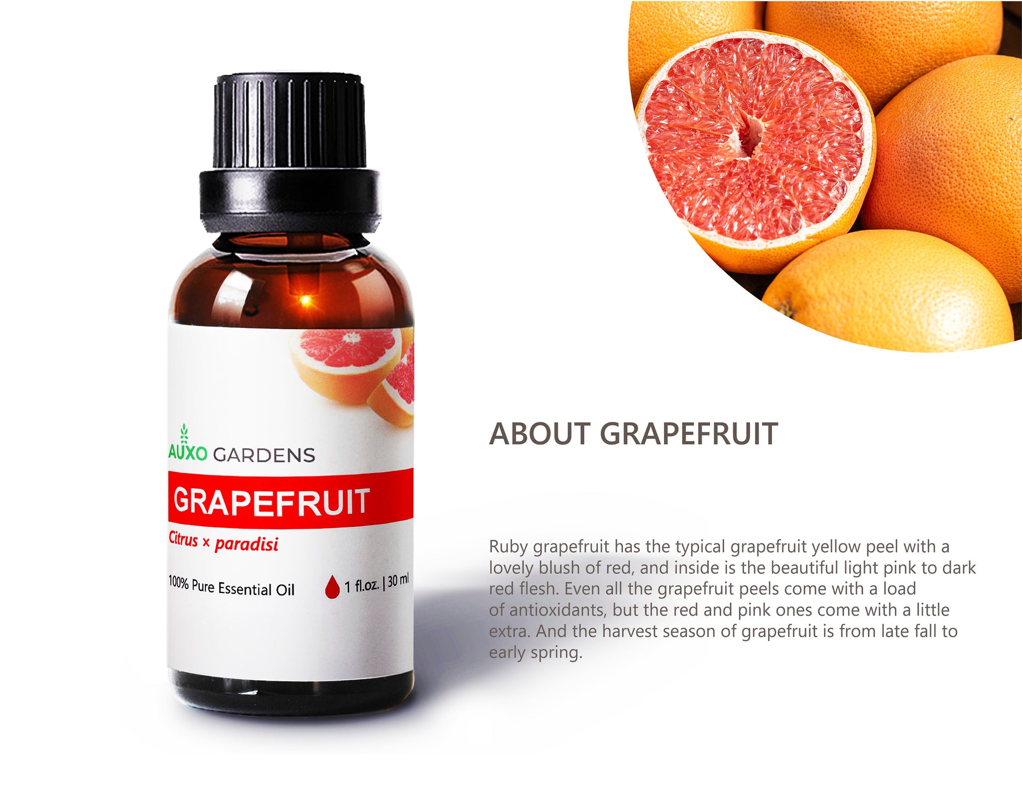 Pink Grapefruit Essential Oil (Citrus × paradisi) – Auxo Gardens