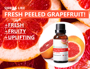 Pink Grapefruit  Essential Oil (Citrus × paradisi)