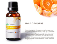 Load image into Gallery viewer, Citrus Essential Oil Set (30mL) - Lime, Clementine and Grapefruit