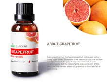 Load image into Gallery viewer, Citrus Essential Oil Set (30mL) - Lime, Clementine and Grapefruit