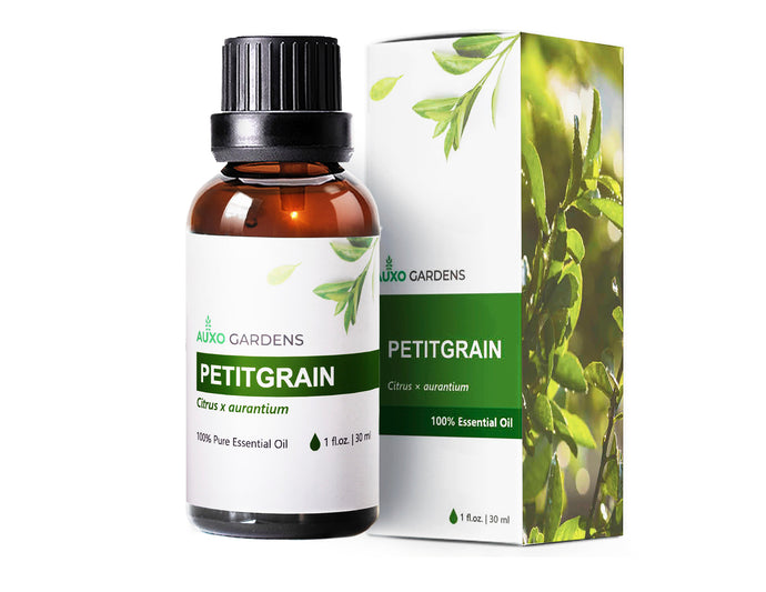 Petitgrain Essential Oil (Citrus × aurantium)