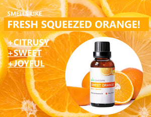 Sweet Orange Essential Oil (Citrus × sinensis)