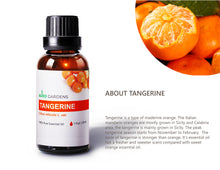 Load image into Gallery viewer, Tangerine Essential Oil (Citrus reticulata)